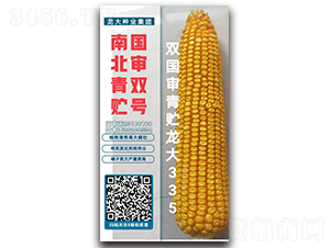 �p�������A����335-���׷N��-����N�I(y��)