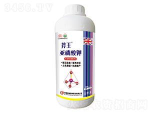 �������-����-��巉�