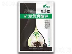 �VԴ�S�����-�ڽ�̿-�ڼژ�