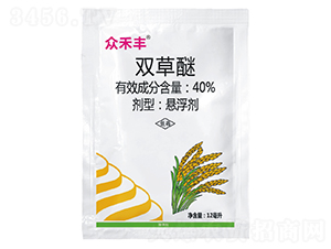 40%�p���ёҸ���-�����S