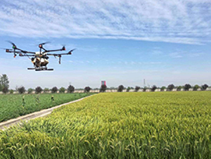 ˼��������Ĕz������˼����Ļ���ý���޹�˾