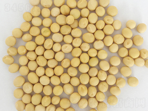 �F�S29̖-�󶹷N��-�|��