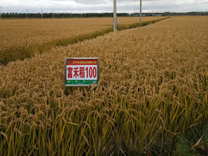 ����100-ˮ���N��-�|��