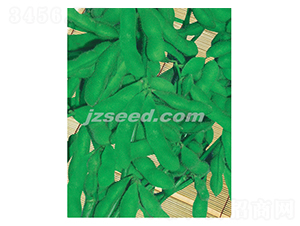 ����һ̖-ë���N��-�F(xi��n)���N�I(y��)