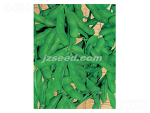 ������̖-ë���N��-�F(xi��n)���N�I(y��)