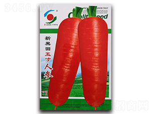 �º�������˅�-ˮ���}���N��-�����o(j��)