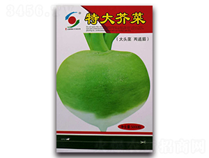 �ش��j��-ˮ���}���N��-�����o(j��)