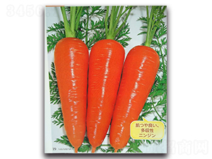 ����-���}���N��-�r(n��ng)����