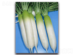 �������S�M(j��n)-�}���N��-�r(n��ng)����