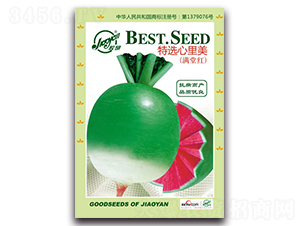 ���x���������M�üt��-�}���N��-�z��