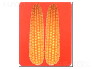 LZ9168-���׷N��-���N