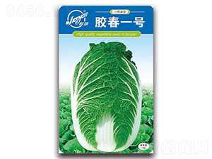 �z��һ̖-�����ײ˷N��-�z��