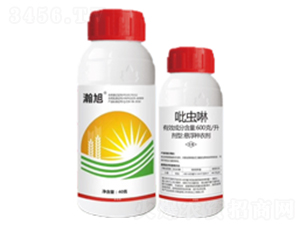 600��ÿ�����x(ch��ng)��-���-һ�����r(n��ng)�I(y��)