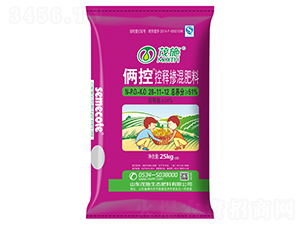 ��ጓ������28-11-12-�z��-ïʩ�r�I(y��)