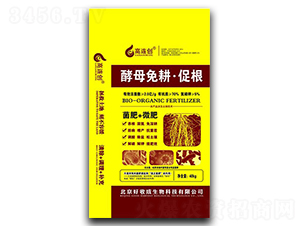 ��ĸ����ٸ�����-���B��(chu��ng)-���ճ�