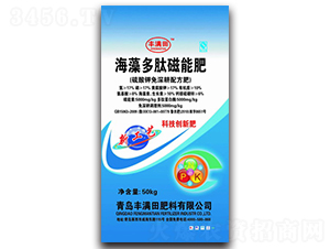 ������Ĵ��ܷ�-�S�M(m��n)��