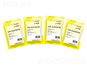 �ݲݡ�����ѿ�ߗU��-С�S��-�x���r(n��ng)��