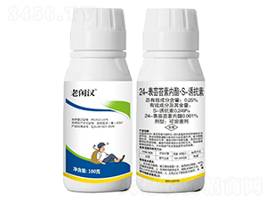 24-���|̦�؃�(n��i)��S-�T����-���e�h-���r(n��ng)���_