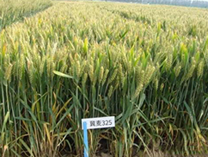 ����325-С���N��-��Դ�N�I(y��)