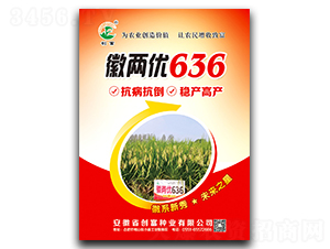 �ՃɃ�(y��u)636-ˮ���N��-��(chu��ng)���N�I(y��)