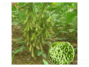 ���ň@��60-ë���N��-�|���r(n��ng)�I(y��)