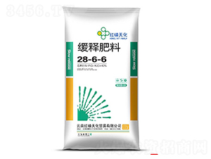 ��ጷ���28-6-6-�t���컯-���r����