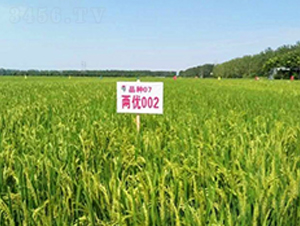 �Ƀ�(y��u)002-ˮ���N��-����N�I(y��)