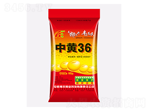 ���S36-�S���N��-���S�N�I(y��)