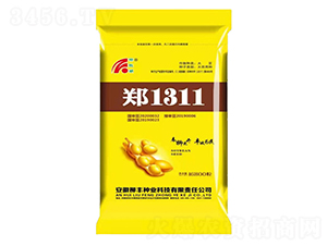 ��1311���S����-�S���N��-���S�N�I(y��)