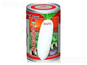 ���x�R����-���}���N��-�A�r�N�I(y��)