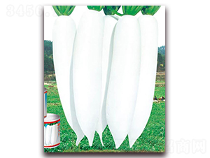 �°����}��-���}���N��-�A�r�N�I(y��)