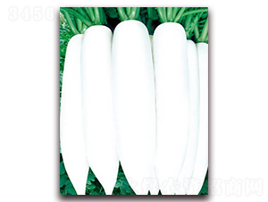 �İ����}��-���}���N��-�A�r�N�I(y��)