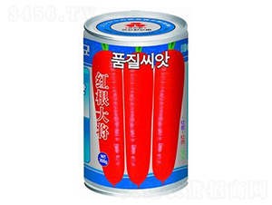 �t����-���}���N��-�A�r�N�I(y��)