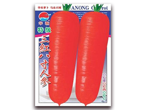 �ؼ����t�˴煢-���}���N��-�A�r�N�I(y��)