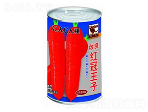 �����t������-���}���N��-�A�r�N�I(y��)