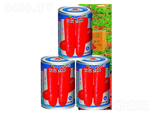 �p�����t��-���}���N��-�A�r�N�I(y��)