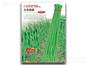 ��������-�����N��-�A�r�N�I(y��)