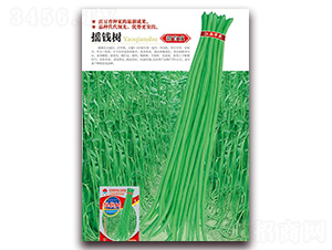 �u�X��-�����N��-�A�r(n��ng)�N�I(y��)