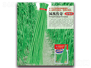 �P�˂���-�����N��-�A�r(n��ng)�N�I(y��)