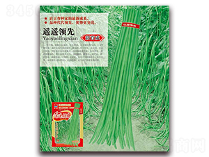 �b�b�I��-�����N��-�A�r�N�I(y��)