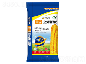 �LЧ��ጷ�26-10-12-���r�|��