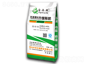 ���B©�LЧ��ጷ�22-8-10-������-���r�|��