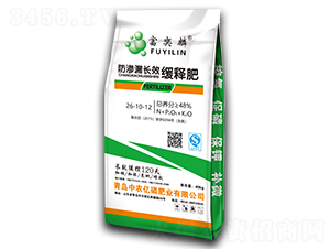 ���B©�LЧ��ጷ�26-10-12-������-���r�|��