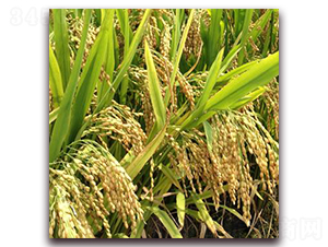 ����39-ˮ���N��-�����r