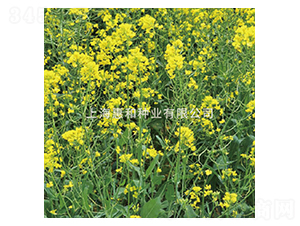 �G���Ͳ�-�Ͳ˷N��-�ݺͷN�I(y��)