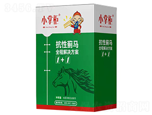 �����E�Rȫ�̽�Q����-С�ƹ�-��(y��u)ʿֲ��