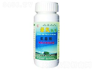 �������~���-�G�L����-�G�L�ʘI(y��) 