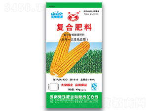 ����һ������׷�ͺϷ���28-6-6-ԥ��ʘI(y��)