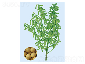 �_��292-ë���N��-���S�N�I(y��)