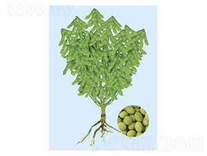 �|��һ̖-ë���N��-���S�N�I(y��)